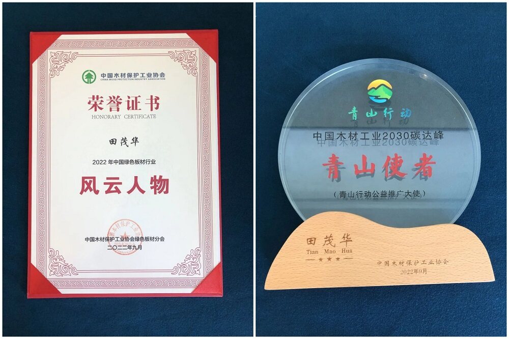 初心使命·助力双PP电子 PP电子平台碳丨千年舟荣膺「全国绿色建材下乡推荐品牌 」！(图3)