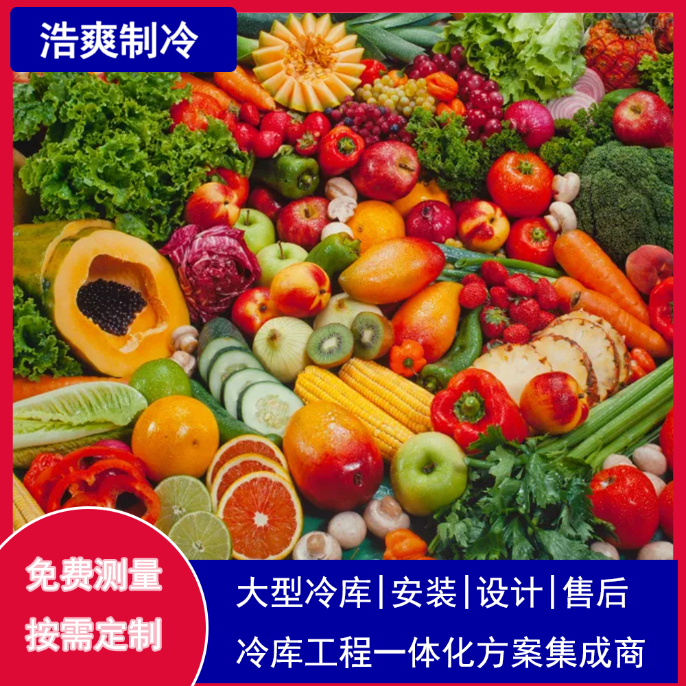 大型蔬菜保鲜冷库建设项目成本评估 PP电子 PP电子平台冷库（设计）(图1)