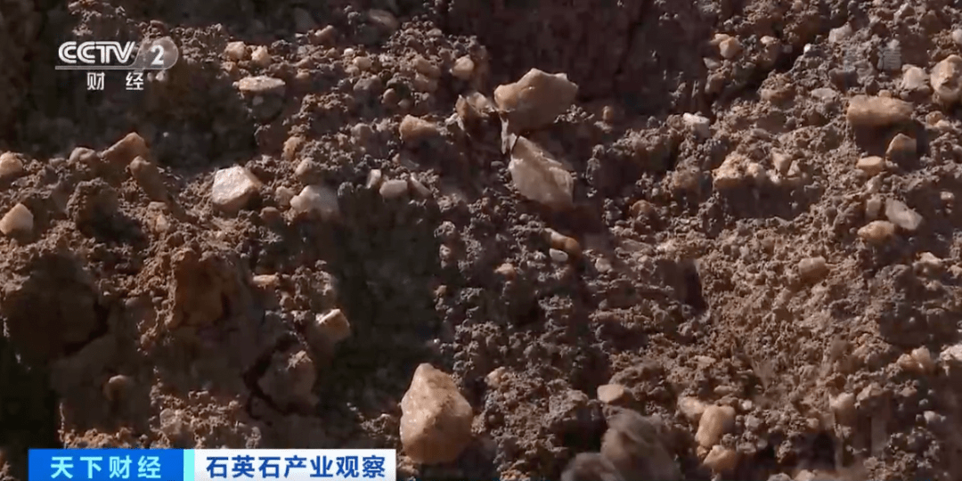 又见疯狂的“石头”！昔日地里随处可见PP电子 PP电子平台如今成“金疙瘩”(图2)