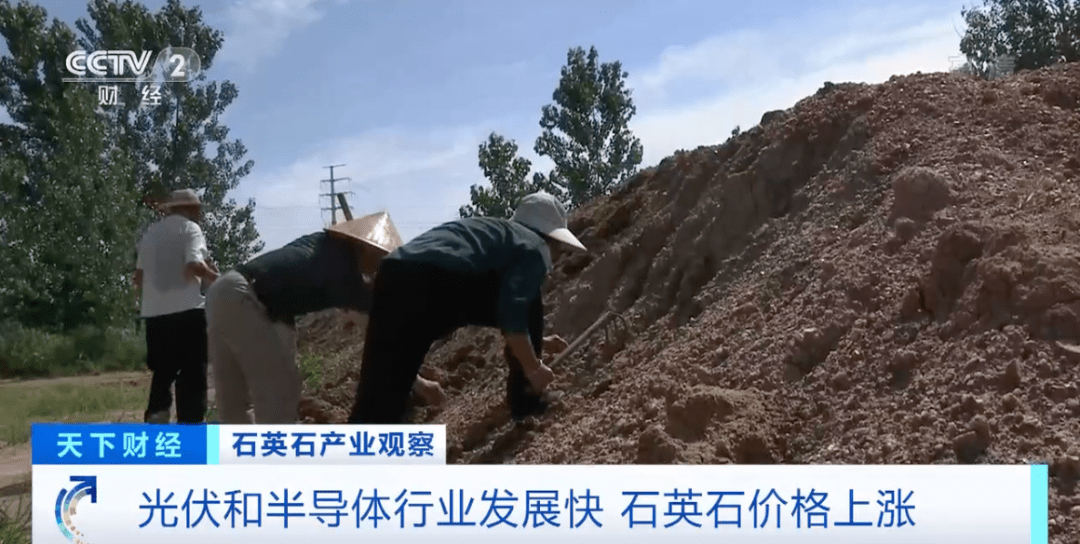 又见疯狂的“石头”！昔日地里随处可见PP电子 PP电子平台如今成“金疙瘩”(图1)