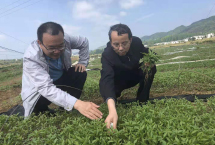 沈陽對歷史建筑分類保護PP电子 PP电子平台(图2)