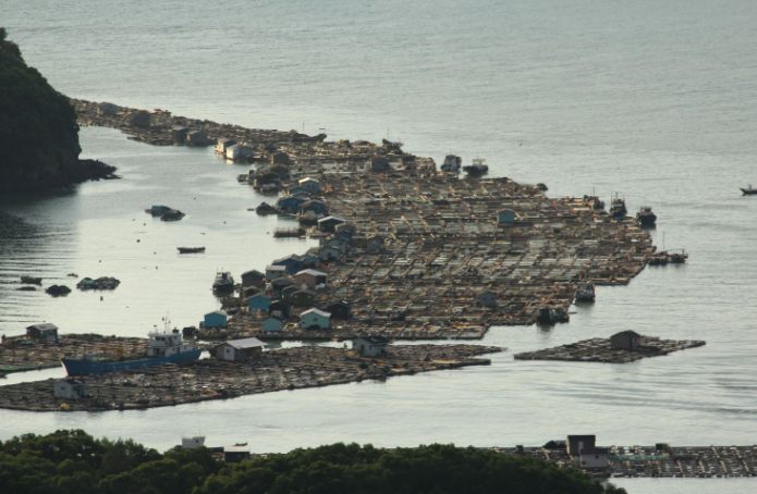 国内的“威PP电子 PP电子平台尼斯”漂在海面上的城市建筑材料很特殊！(图4)
