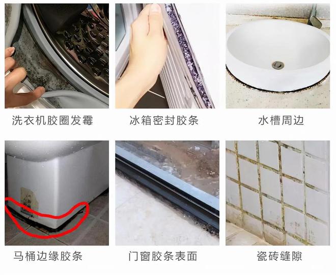 卫生PP电子 PP电子平台间用了半年多当初的“弊端”全都显现！还没装修的注意避坑(图17)