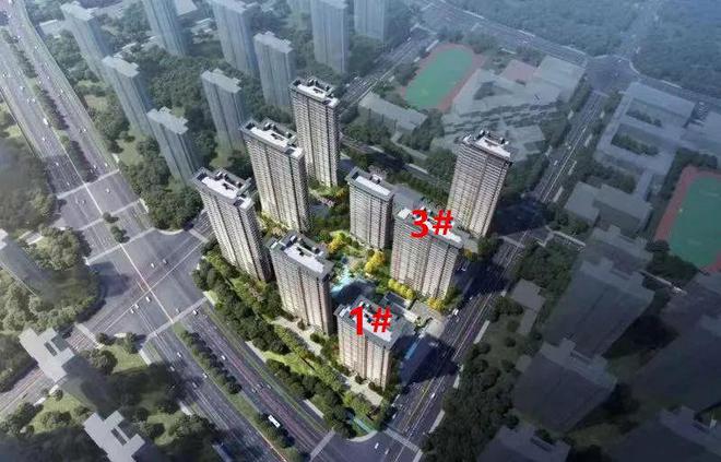 南京新盘扎堆报名！河西顶豪最贵一套约5888万PP电子 PP电子平台(图8)
